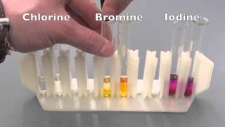 Halogen reactivity [upl. by Germayne]