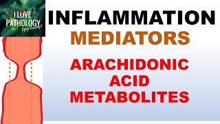 INFLAMMATION Part 5 Chemical Mediators ARACHIDONIC ACID METABOLITES [upl. by Archambault]