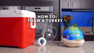 How To Properly Thaw Out Your Thanksgiving Turkey [upl. by Burr]