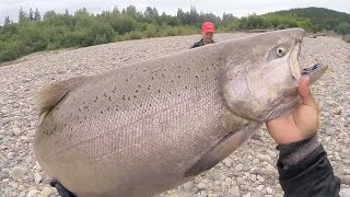 Insane Salmon Fishing on the Kitimat amp Skeena River [upl. by Eibocaj]