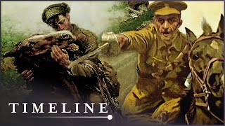 The Tragic True Story Of War Horse  War Horse  Timeline [upl. by Onimixam]