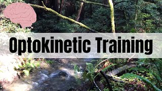 Optokinetic Training Walking Through Muir Woods Forest 627 [upl. by Milinda]