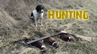 Planting and Hunting Pheasants [upl. by Conlee]