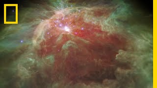 Fly Through a StarStudded Nebula In a New 3D Visualization  National Geographic [upl. by Strauss]