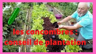 Concombres  conseil de plantation [upl. by Ennayk883]