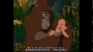 Phil Collins  Youll Be In My Heart Tarzan Lyrics 永存我心 泰山 中文翻譯 [upl. by Filberto]