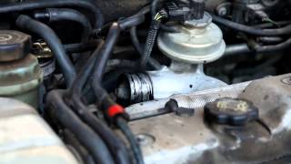 Ford Focus 18 TDDI EGR Cleaning with spraypulizia valvola egr [upl. by Audwen58]