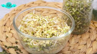 HOW TO SPROUT MUNG BEANS IN A JAR [upl. by Idnic]