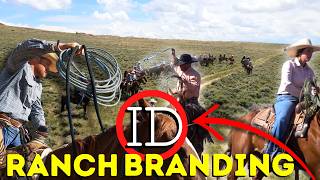 Branding at the ID Ranch [upl. by Thorlay]