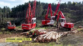 Madill 124 Swing Yarder  Rosewarne Logging Ltd [upl. by Eirolav]