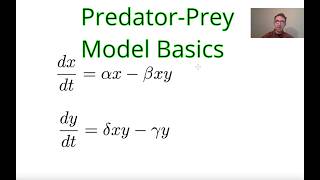 PredatorPrey Model LotkaVolterra Overview and Steady States [upl. by Elleuqar]