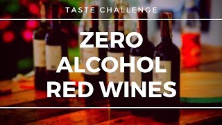 Zero Alcohol Red Wines  Tasted and Rated [upl. by Ahsilra]