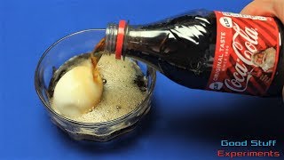 Egg vs Coke  Science Experiment [upl. by Cyril]