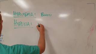 Hypoxia vs Hypoxemia Know the Difference [upl. by Eissej]