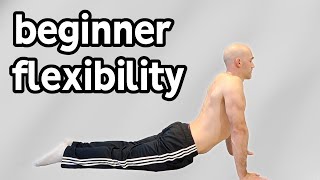 Beginner Stretches For Flexibility Full Routine [upl. by Zins265]