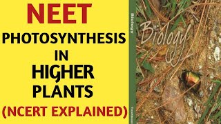 PhotosynthesisClass 11NCERTQuick Revision SeriesNEETAIIMSJipmer2019By Beats For Biology [upl. by Perseus]