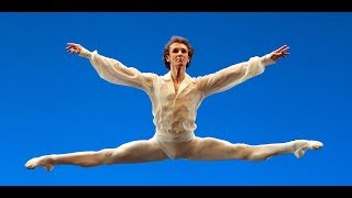 Bolshoi Ballet  Male Principal Dancers 2019 [upl. by Anaiq]