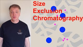 Size Exclusion Chromatography SEC [upl. by Flip]