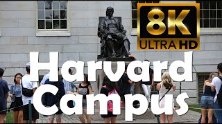 Harvard University  8K Campus Drone Tour [upl. by Nyltyak]