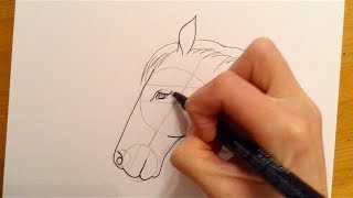 Beginners Lesson  How To Draw A Horse [upl. by Relyuhcs]