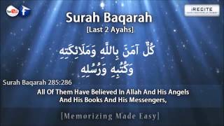 Surah Baqarah Last 2 Verses  Sheikh Ziyad Patel  Memorizing Made Easy  1080pᴴᴰ [upl. by Ahsiruam]