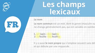 Allô prof  Les champs lexicaux [upl. by Ydnahs]