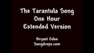 The Tarantula Song One Hour Extended Version [upl. by Ahsienel]