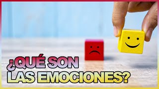 FUNCIÓN de las EMOCIONES  Inteligencia emocional [upl. by Atnes]