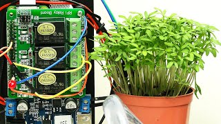 Raspberry Pi Plant Watering amp Time Lapse [upl. by Powers]