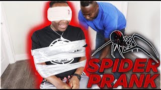 EXTREME SPIDER PRANK  THE PRINCE FAMILY [upl. by Eyllom]