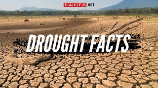 Drought Facts amp More About The Worst Droughts [upl. by Aisats]