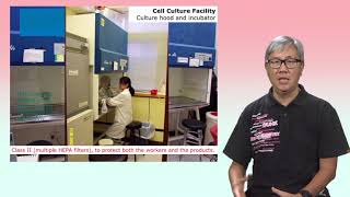 Cytotoxicity Assays 1 In vitro study and cell culture [upl. by Ailimac]