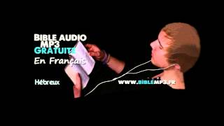 Bible audio  Epître aux Hébreux  Bible MP3 en Français [upl. by Leksehc635]