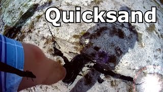 The Dangers of Quicksand Videos [upl. by Mcfadden]