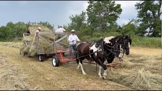 Foster Hay Day [upl. by Benco]