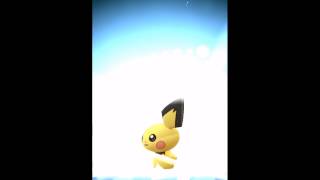 Pokemon GO Evolve Pichu to Raichu [upl. by Skricki153]