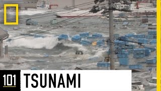 Tsunamis 101  National Geographic [upl. by Hedvig]