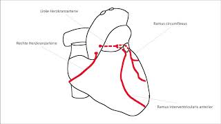 EKG verstehen Schenkelblock Herzinfarkt EKG Crashkurs Teil 2 [upl. by Mima]