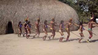 Povos indígenas do Xingu xingu indios indigenas culturaindigena [upl. by Tijnar]