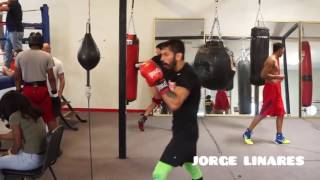 RYAN GARCIA amp JORGE LINARES AFTER SPARRING EACHOTHER [upl. by Aicirtak]