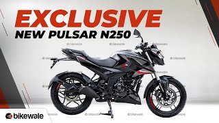 EXCLUSIVE – New Bajaj Pulsar N250 Launch Soon  New Features Updates amp Details Revealed  BikeWale [upl. by Oderfliw]