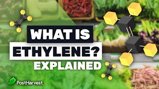 What is Ethylene [upl. by Fanechka]