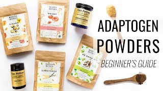 BEGINNERS GUIDE TO ADAPTOGENS  reduce stress boost immunity amp more [upl. by Notlim442]