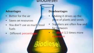 The Difference Between Diesel and Biodiesel [upl. by Zennas]