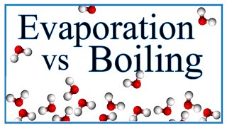 Boiling vs Evaporation Definition Examples amp Explanation [upl. by Allistir]