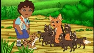 Go Diego Go  Diego the Hero [upl. by Carissa]