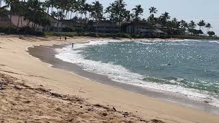 Checking out The Sheraton on Poipu Beach in Kauai [upl. by Errehs]