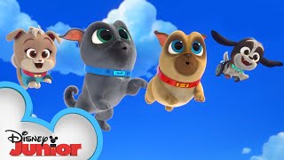 Cupcakes Birthday  Puppy Dog Pals  disneyjr [upl. by Arima]