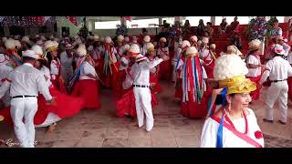 Marujada de São Benedito e São Sebastião de Tracuateua dança do carimbó [upl. by Hobey]