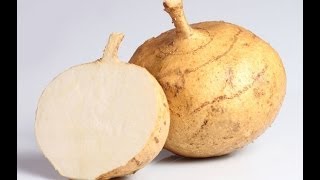 How to Prepare Jicama  Nutritionist Karen Roth  San Diego [upl. by Cristina]